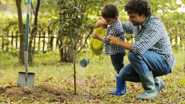 water-tree|water-tree